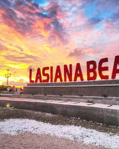 lasiana lasiana